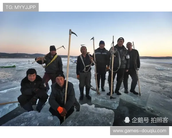 dqiu斗球直播带你实时掌握最新比赛动态与精彩瞬间